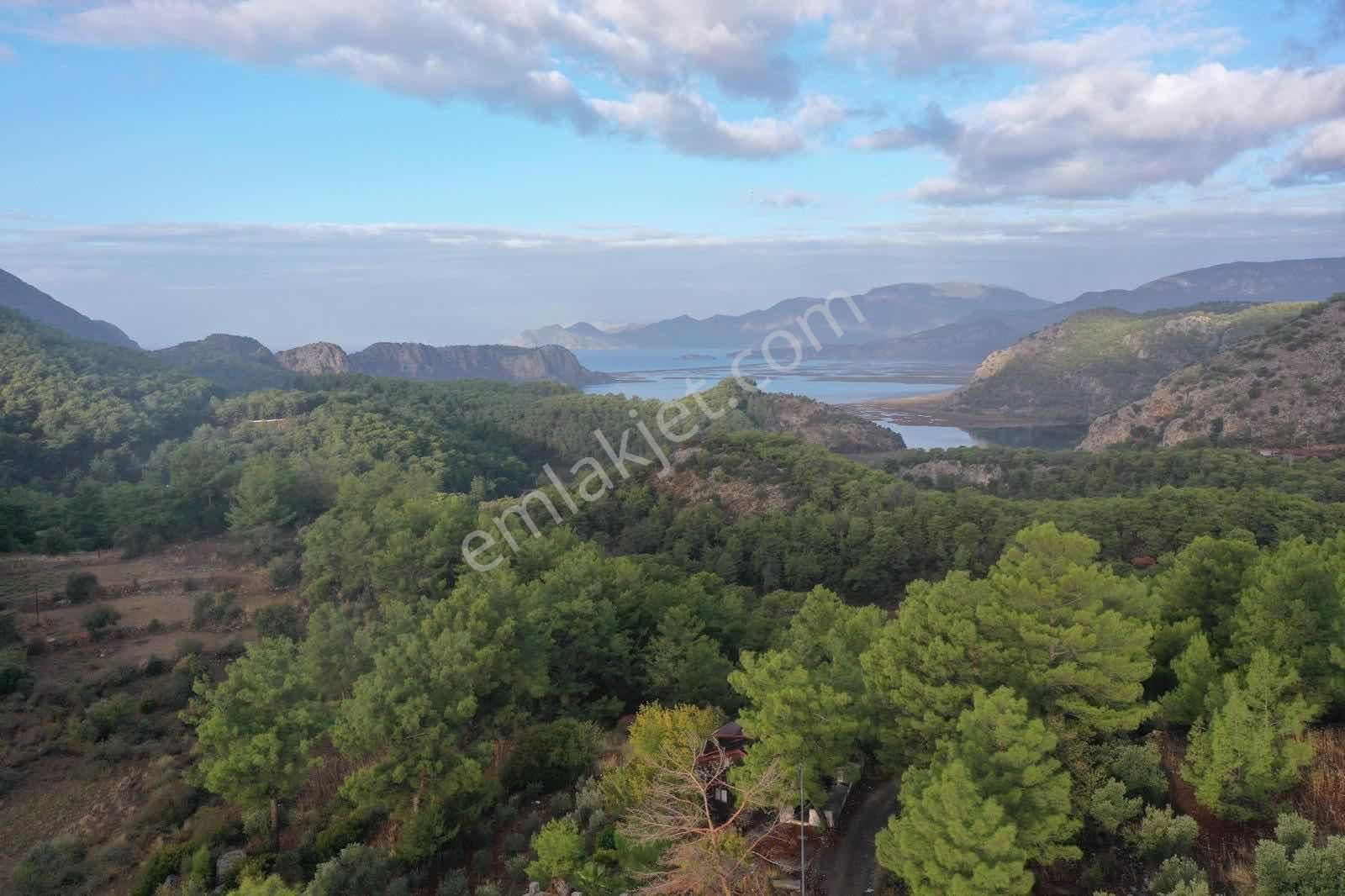 Nysa Emlak Tan Gökbel Mh Şahsi Tapu 1000 M2 Satılık Tarla - Görsel 2