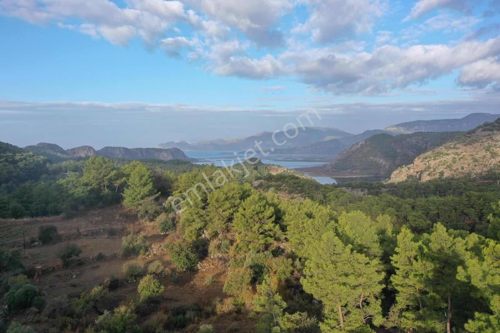 Nysa Emlak Tan Gökbel Mh Şahsi Tapu 1000 M2 Satılık Tarla - Görsel 9