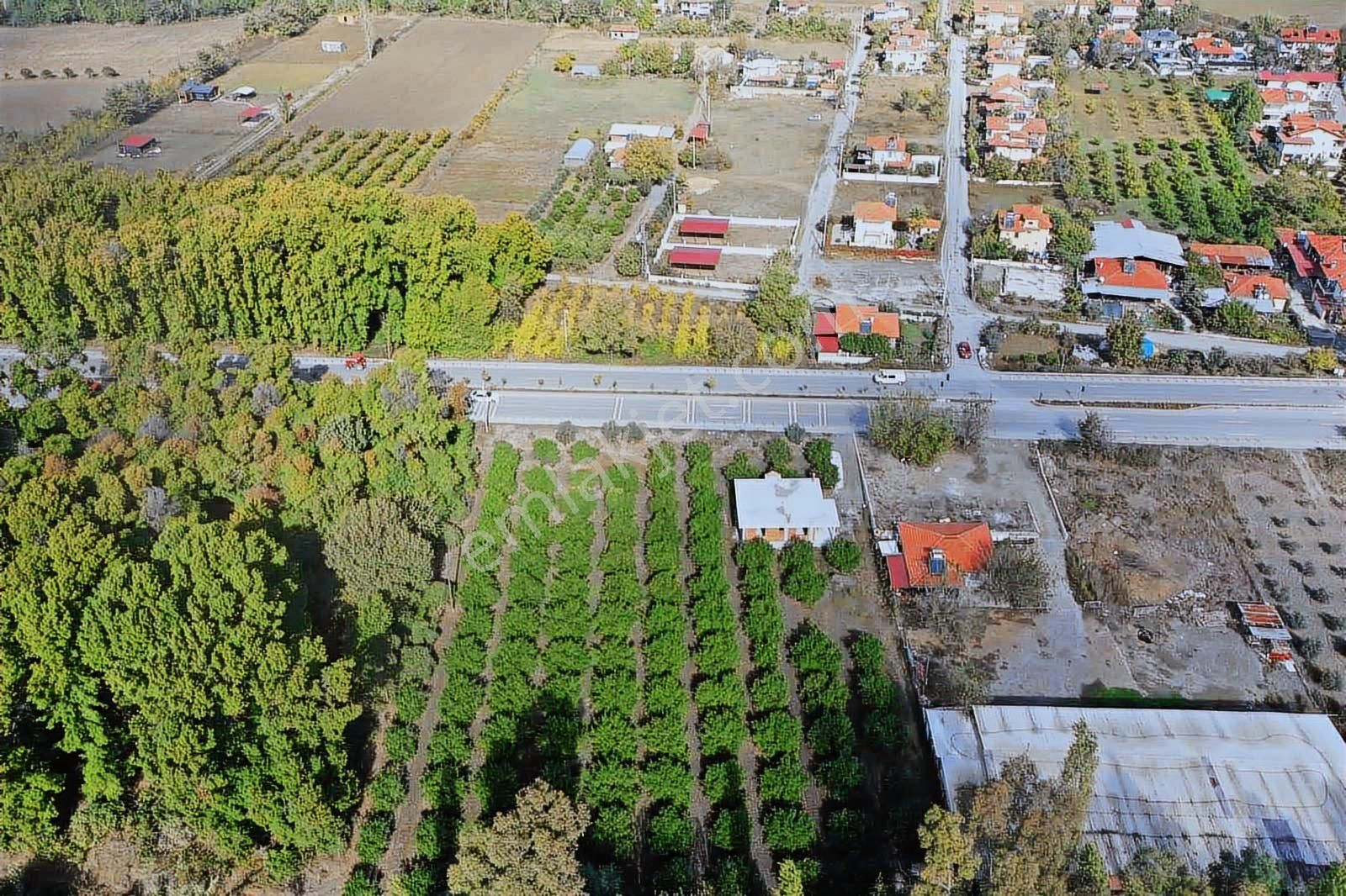 Nysa Emlak'tan Okçular Mh Satılık 2.250 M2 Rızai Taksımlı Tarla - Görsel 14
