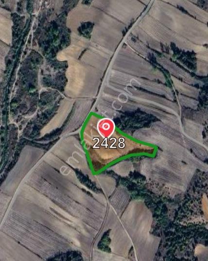 Kırklareli Babaeski Yeniköyde 18.500 M² Çiftlik Kurmaya Uygun - Görsel 5