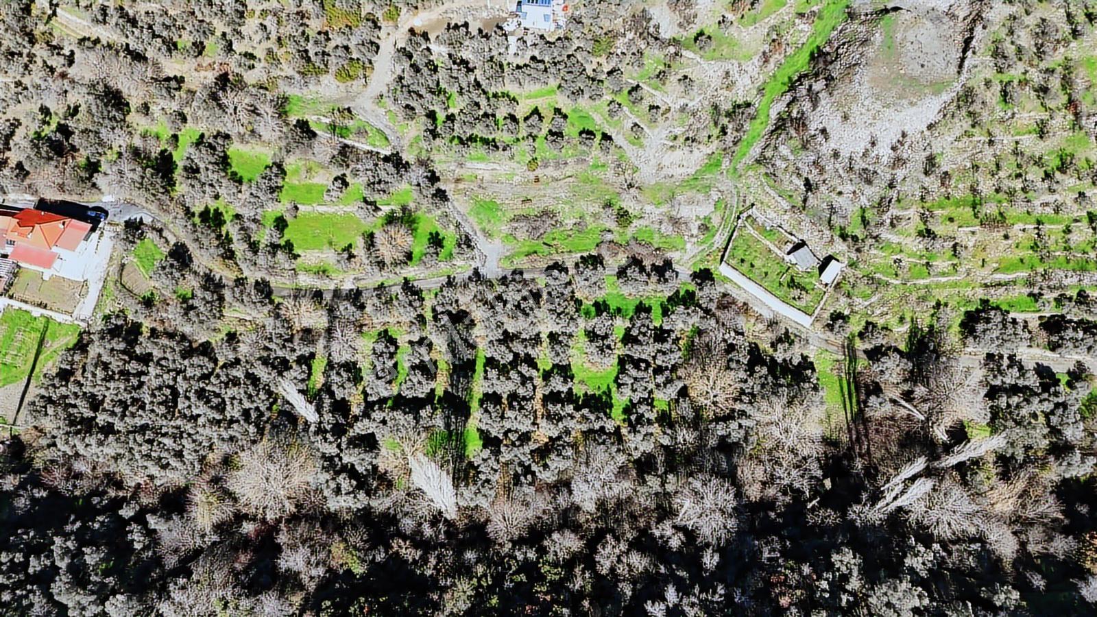 Muğla Yeşilyurt'ta Merkezi Konumda 2048 M² İmar Sınırı Arazi - Görsel 7