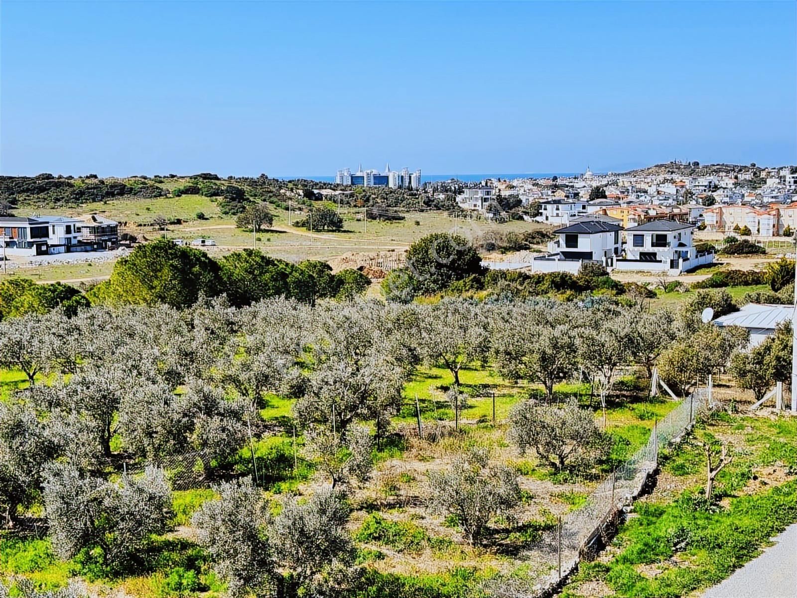 Didimde Satılık Havuzlu Geniş Bahçeli 4 Yaşında Şok Fiyat Villa