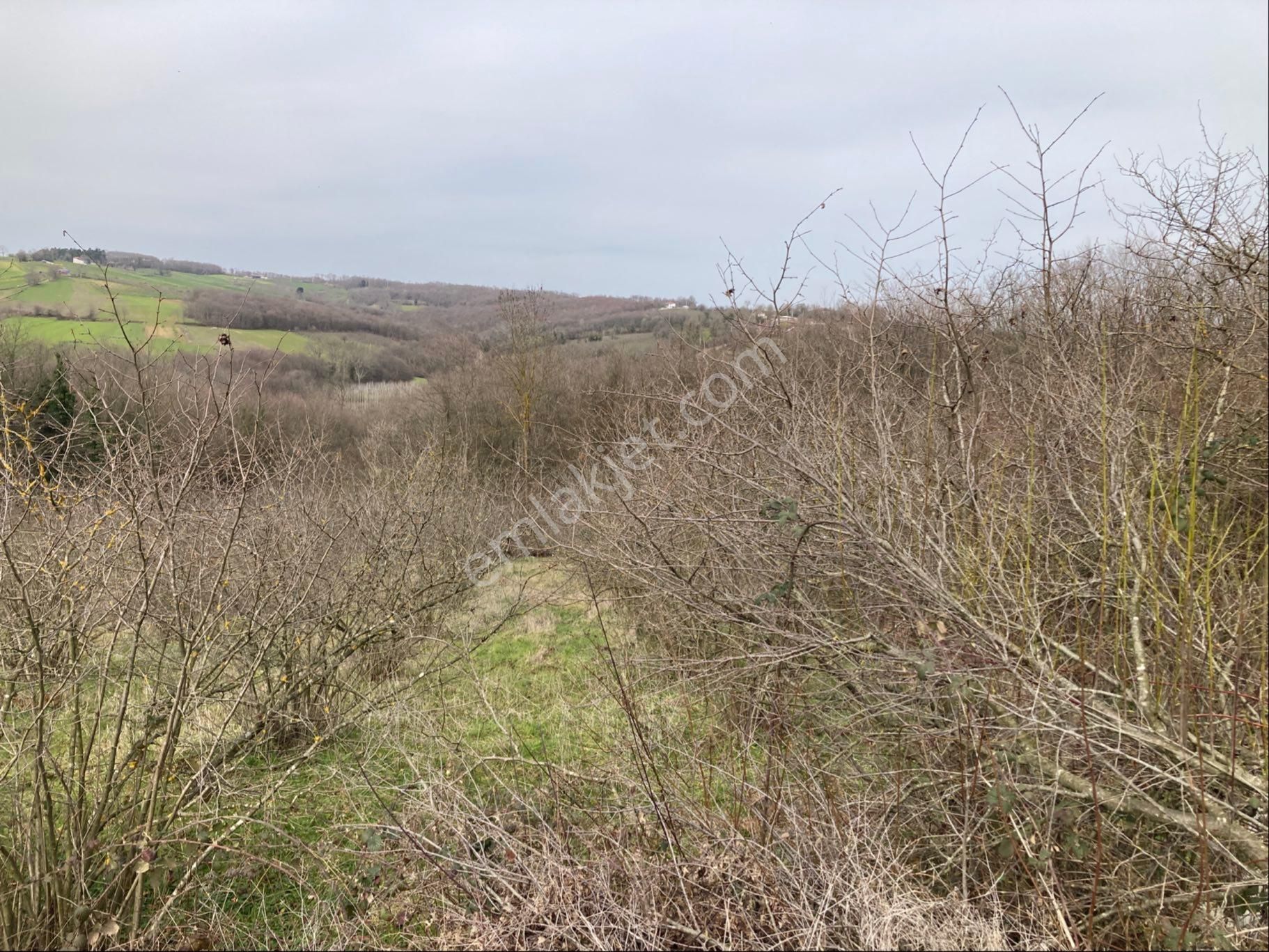 Kandıra Sucuali Yatırımlık Fındıklık - Görsel 7