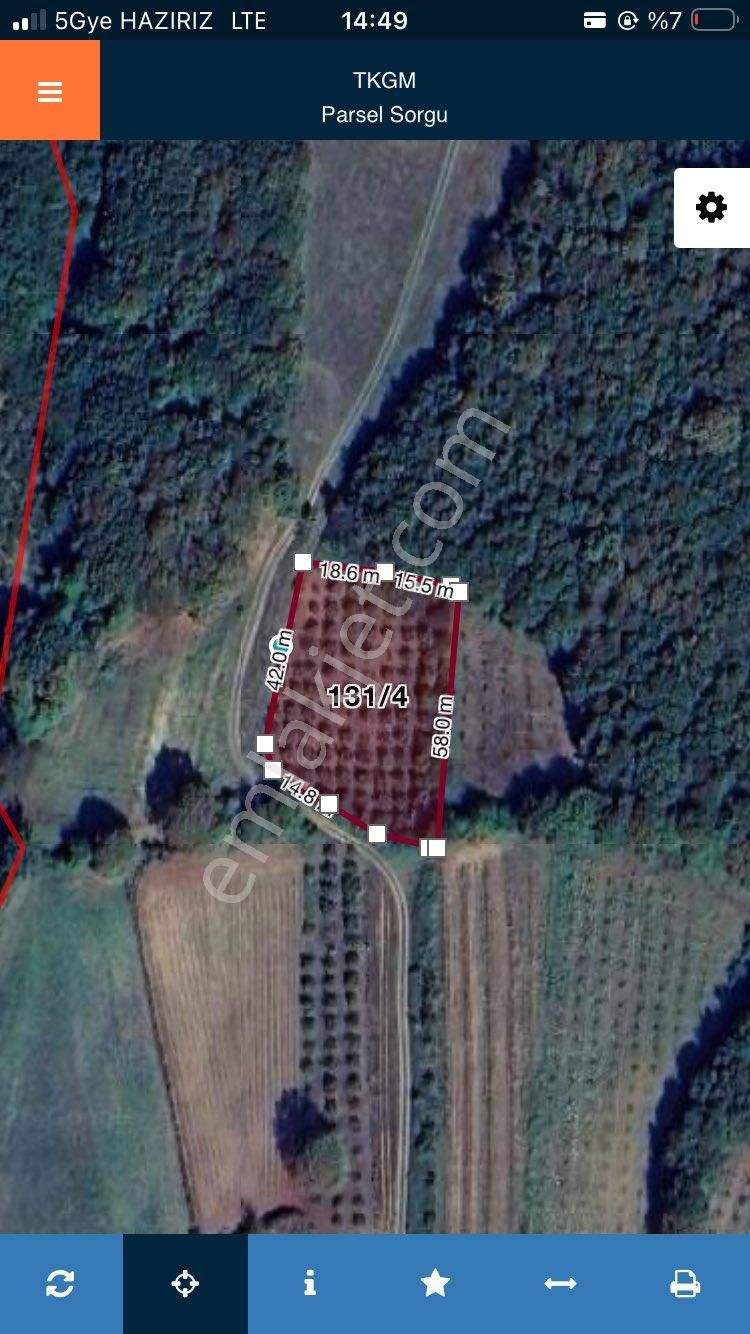 Kandıra Sucuali Yatırımlık Fındıklık - Görsel 10