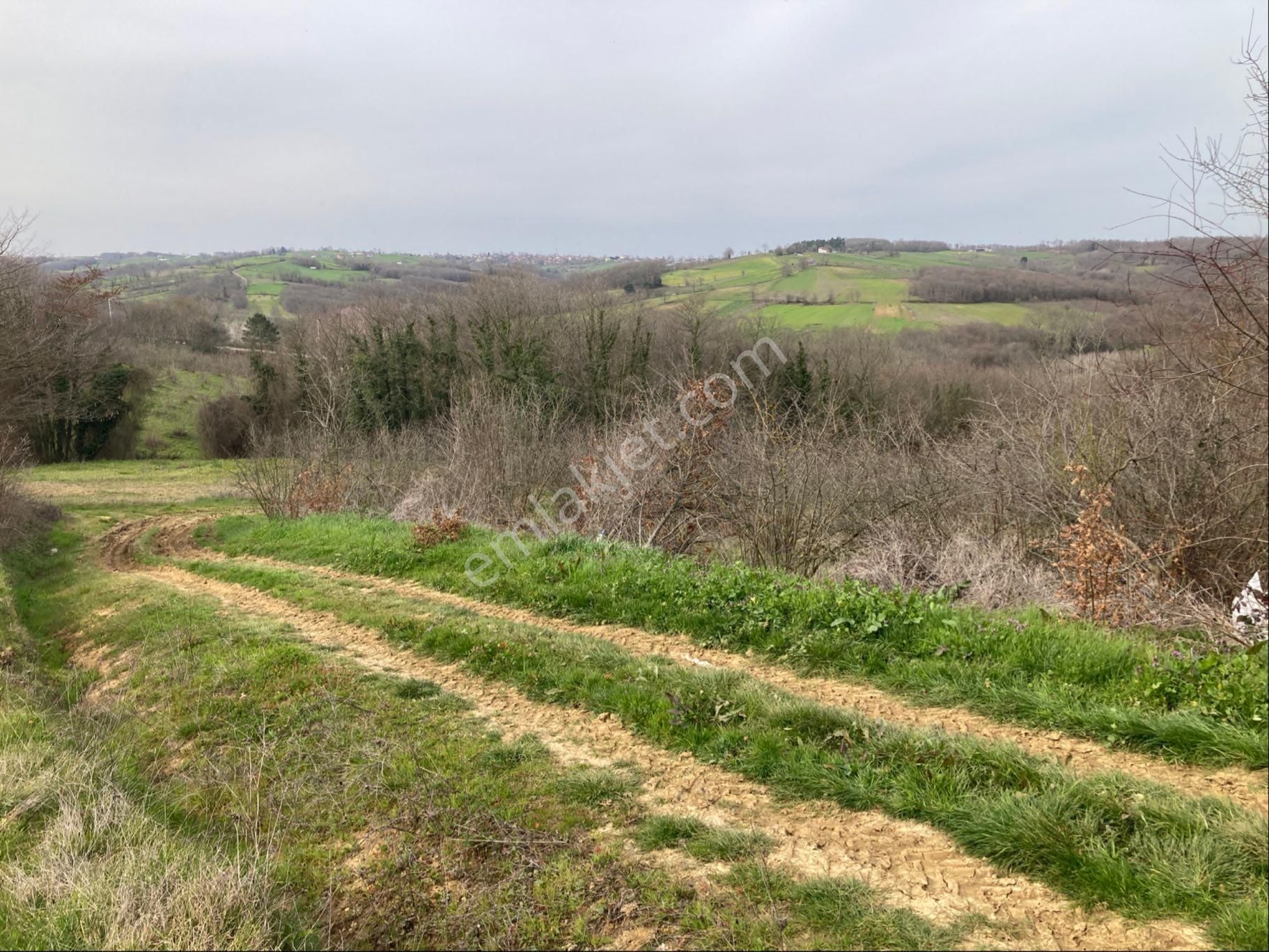 Kandıra Sucuali Yatırımlık Fındıklık - Görsel 5