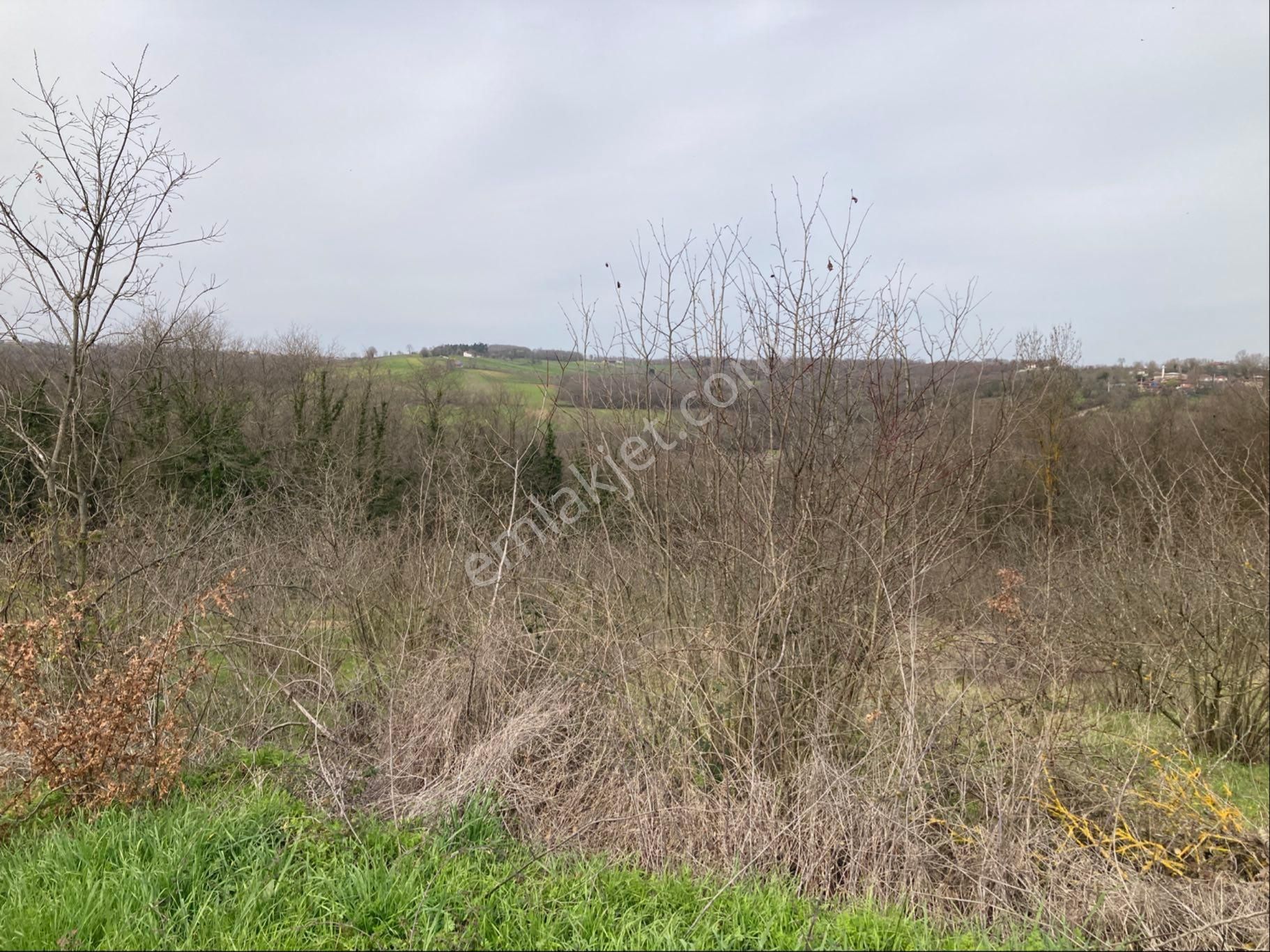 Kandıra Sucuali Yatırımlık Fındıklık - Görsel 8