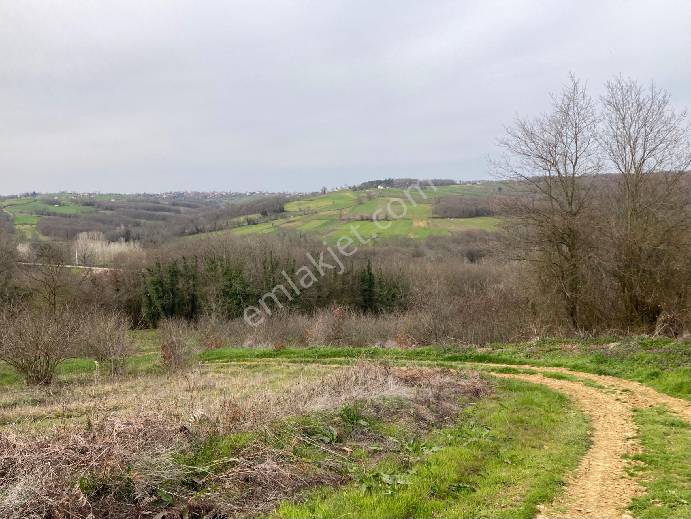 Kandıra Sucuali Yatırımlık Fındıklık - Görsel 11