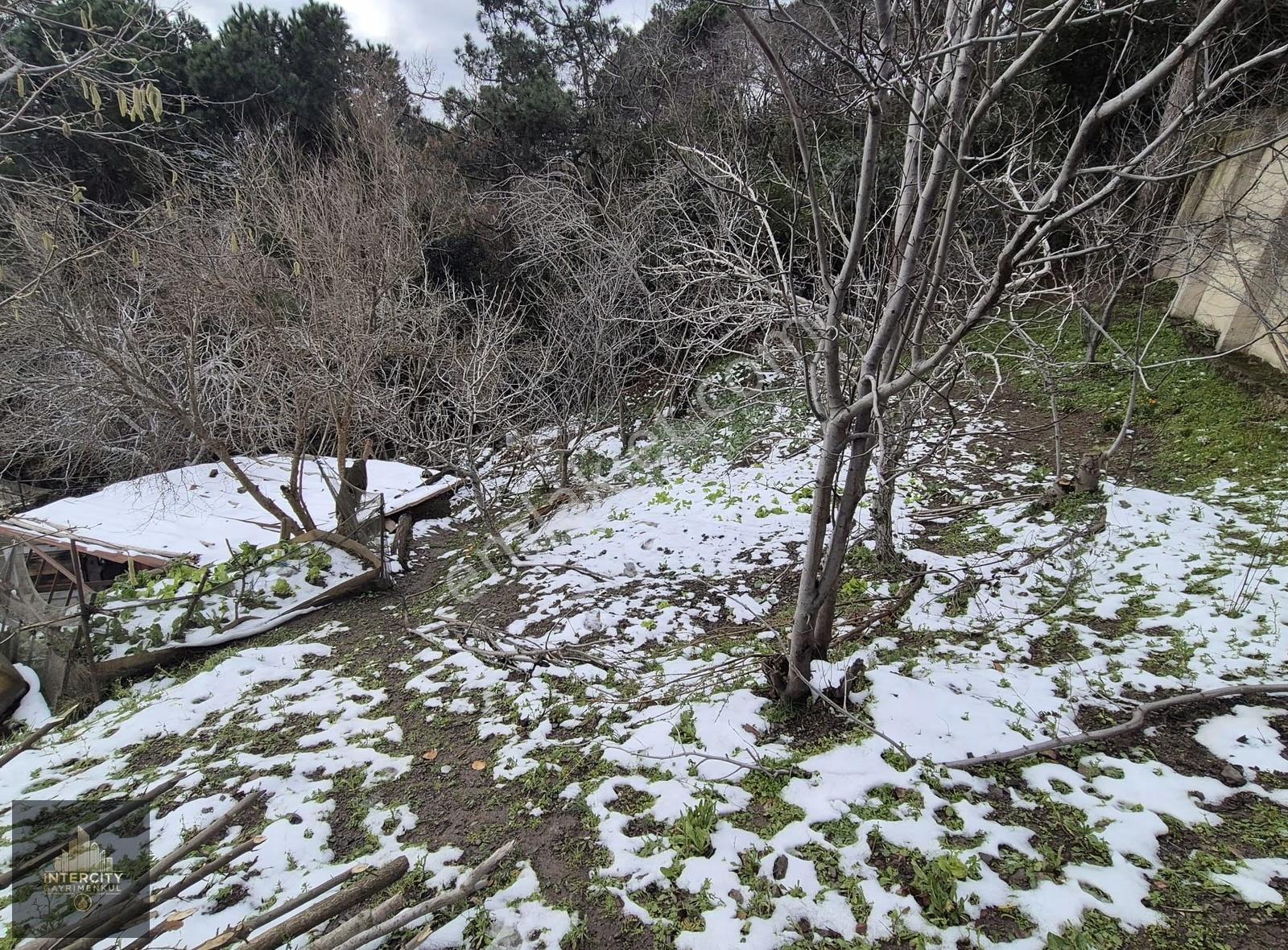 Beykoz Gümüşsuyu'nda Deniz Ve Doğa Manzaralı Satılık Arsa - Görsel 2