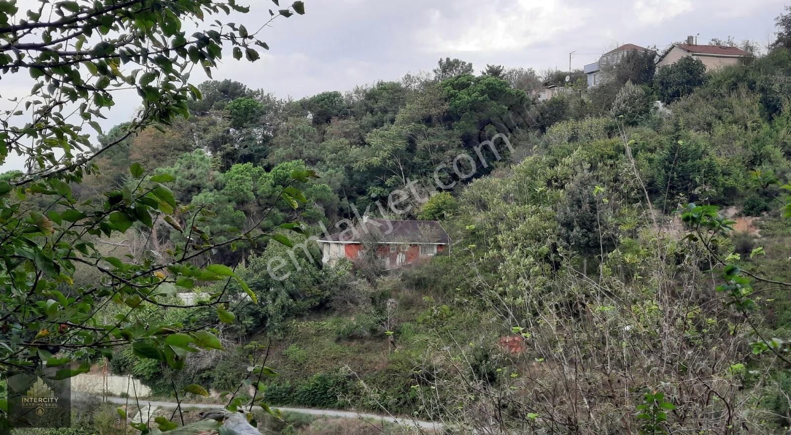 Beykoz Gümüşsuyu'nda Deniz Ve Doğa Manzaralı Satılık Arsa - Görsel 25