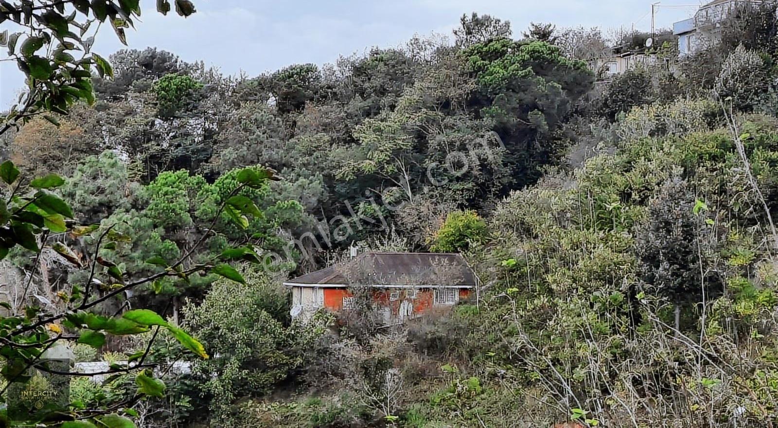 Beykoz Gümüşsuyu'nda Deniz Ve Doğa Manzaralı Satılık Arsa - Görsel 6