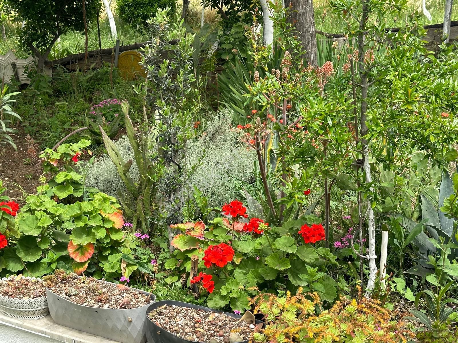 Büyükçekmece Yenimahalle De 2+1 Kiralık Daire Bahçe Kullanımlı - Görsel 19