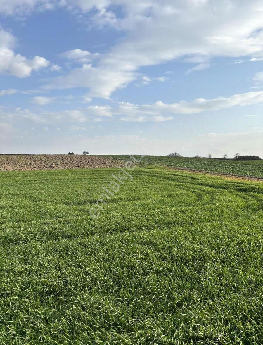 Tekirdağ Kapaklı Bahçeağıl Köyü Yerleşim Yeri Dibi Arsa - Görsel 33