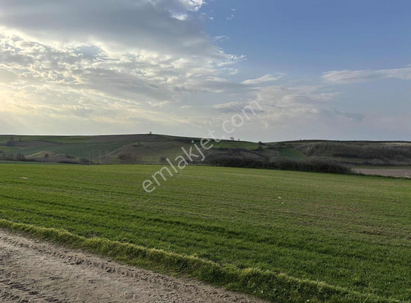 Tekirdağ Kapaklı Bahçeağıl Köyü Yerleşim Yeri Dibi Arsa - Görsel 2