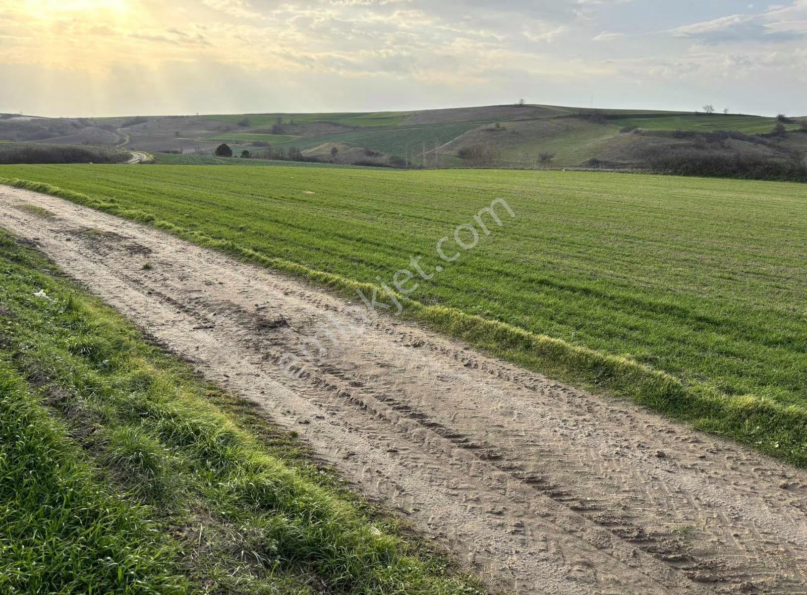 Tekirdağ Kapaklı Bahçeağıl Köyü Yerleşim Yeri Dibi Arsa - Görsel 34