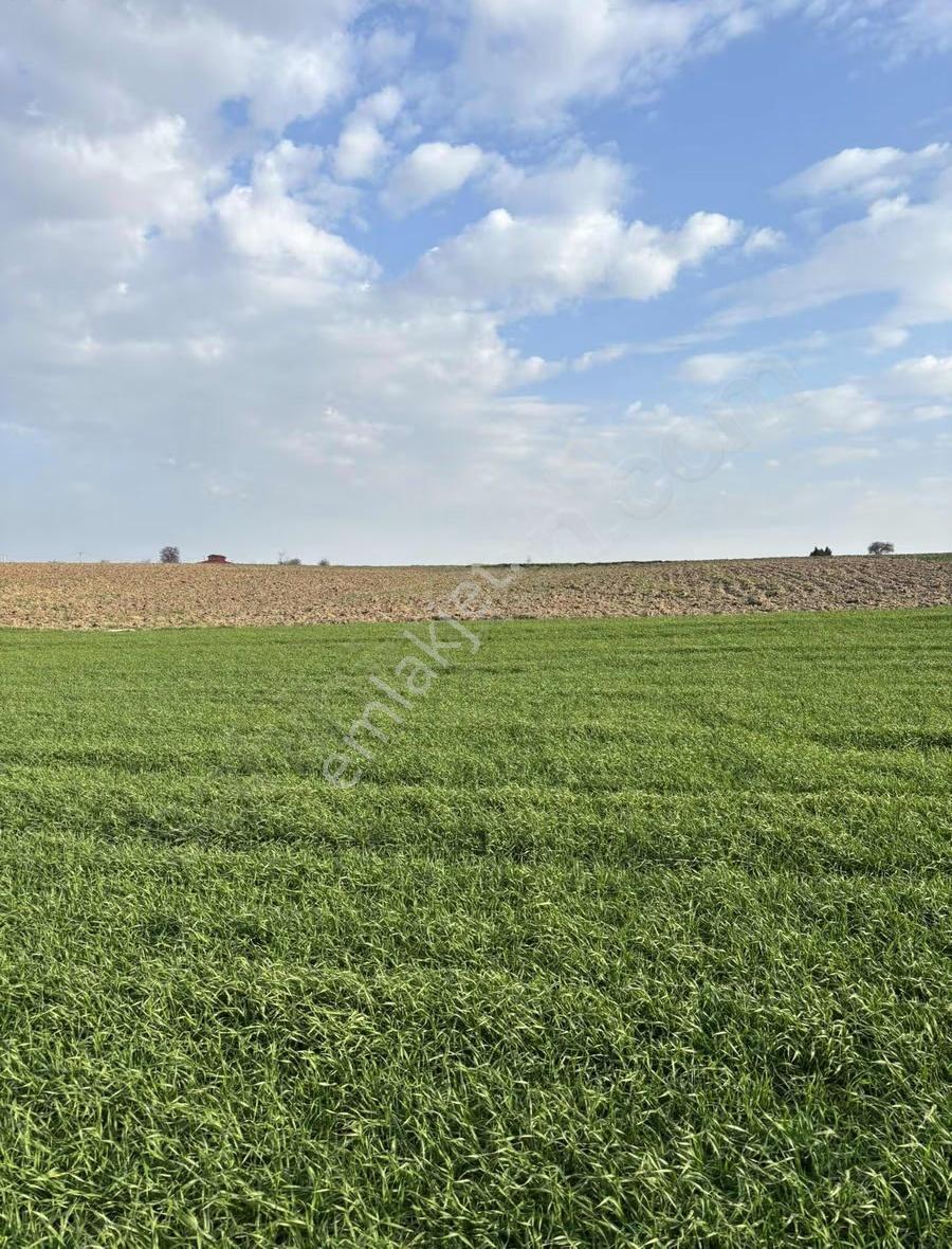 Tekirdağ Kapaklı Bahçeağıl Köyü Yerleşim Yeri Dibi Arsa - Görsel 9