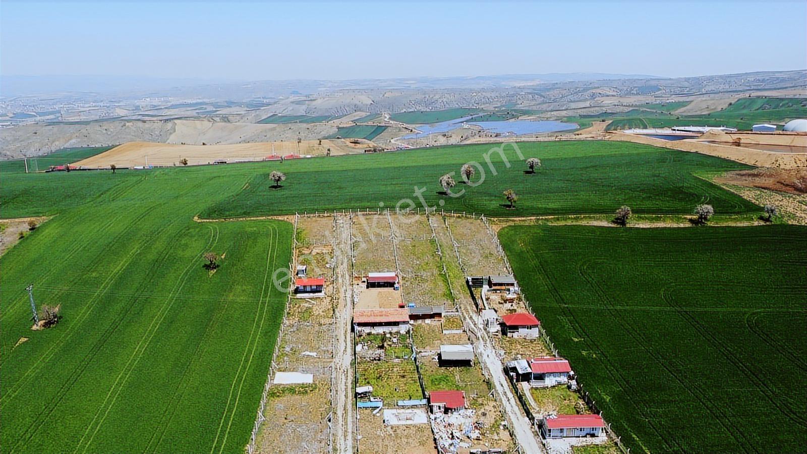 **-çardakbagın Da Mükemmel Konumda Hisse Tapulu Bahçe-** - Görsel 13