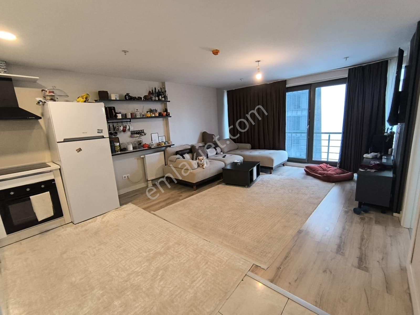 Perola Residence Geniş 1+1 Bakımlı Satılık Daire Basınekspres - Görsel 9