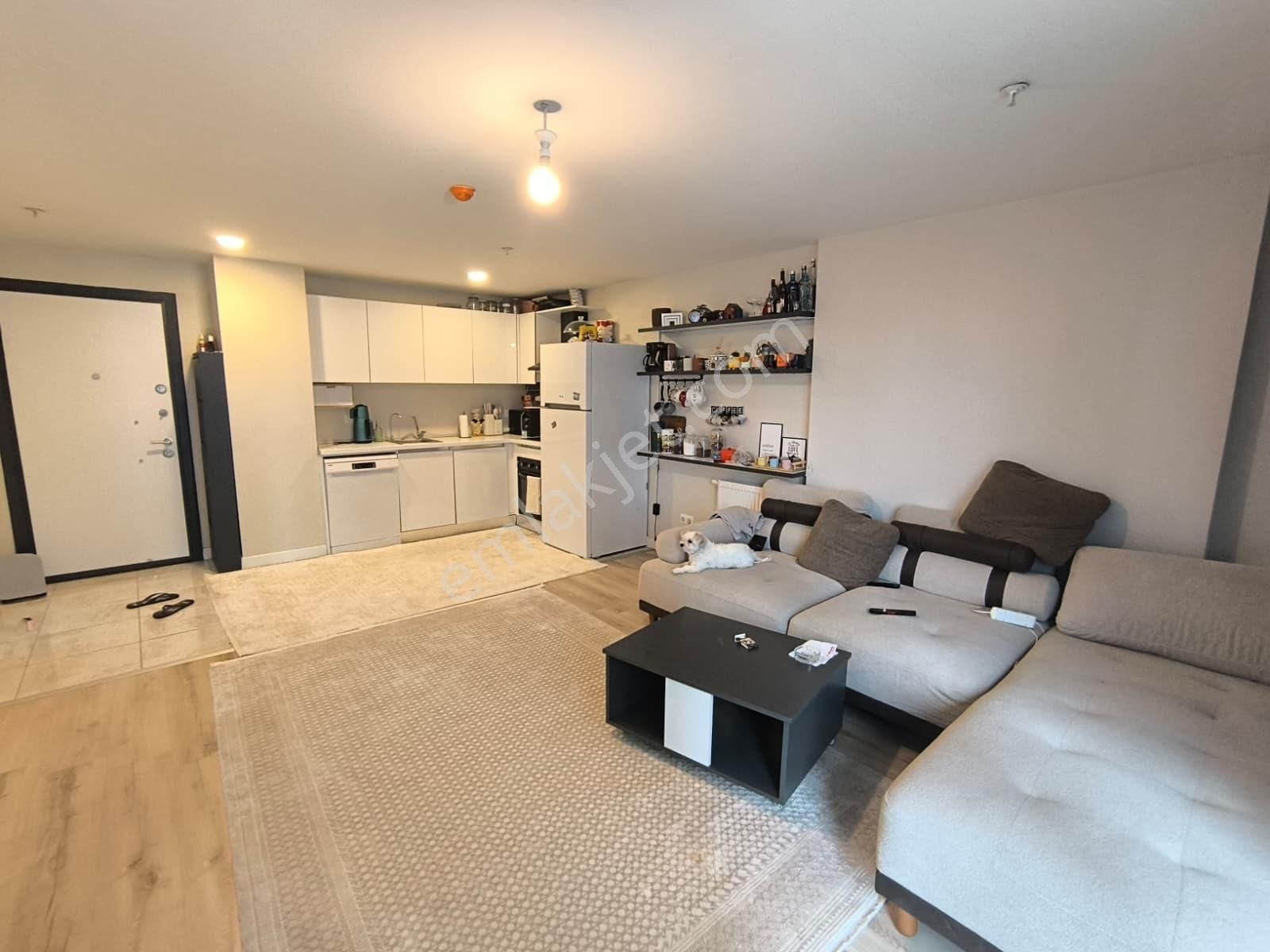 Perola Residence Geniş 1+1 Bakımlı Satılık Daire Basınekspres - Görsel 10