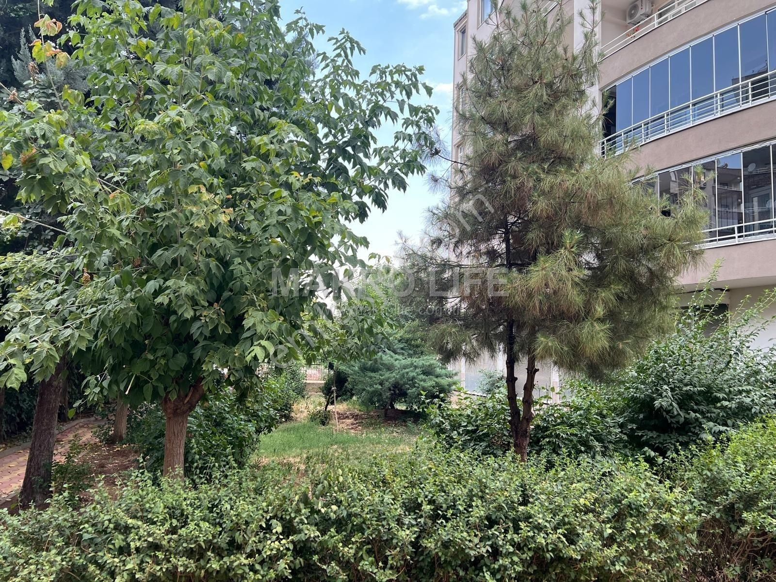 Kayapınar Belediyesi Arkası Satılık 3+1 Yüksek Giriş - Görsel 17