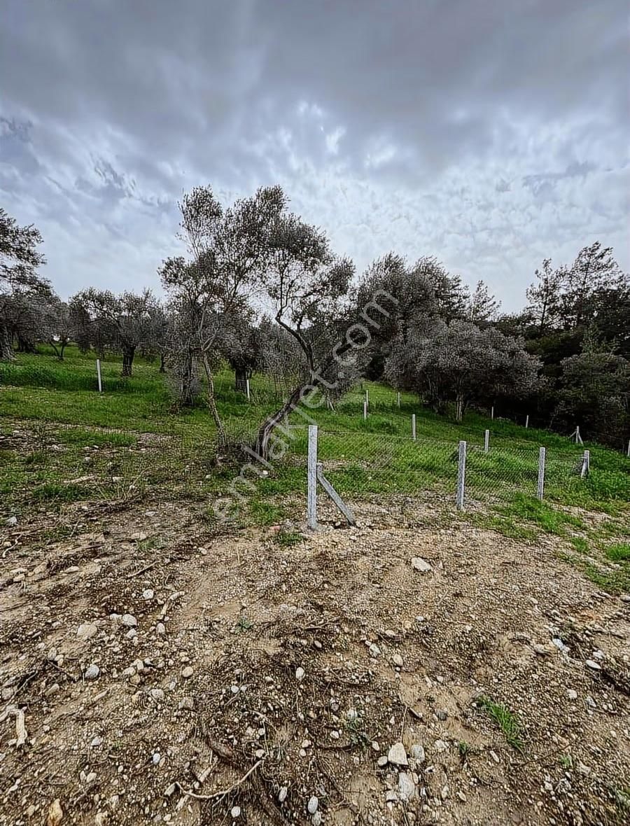Buca Kırklar Köyünde Tapulu - Görsel 13