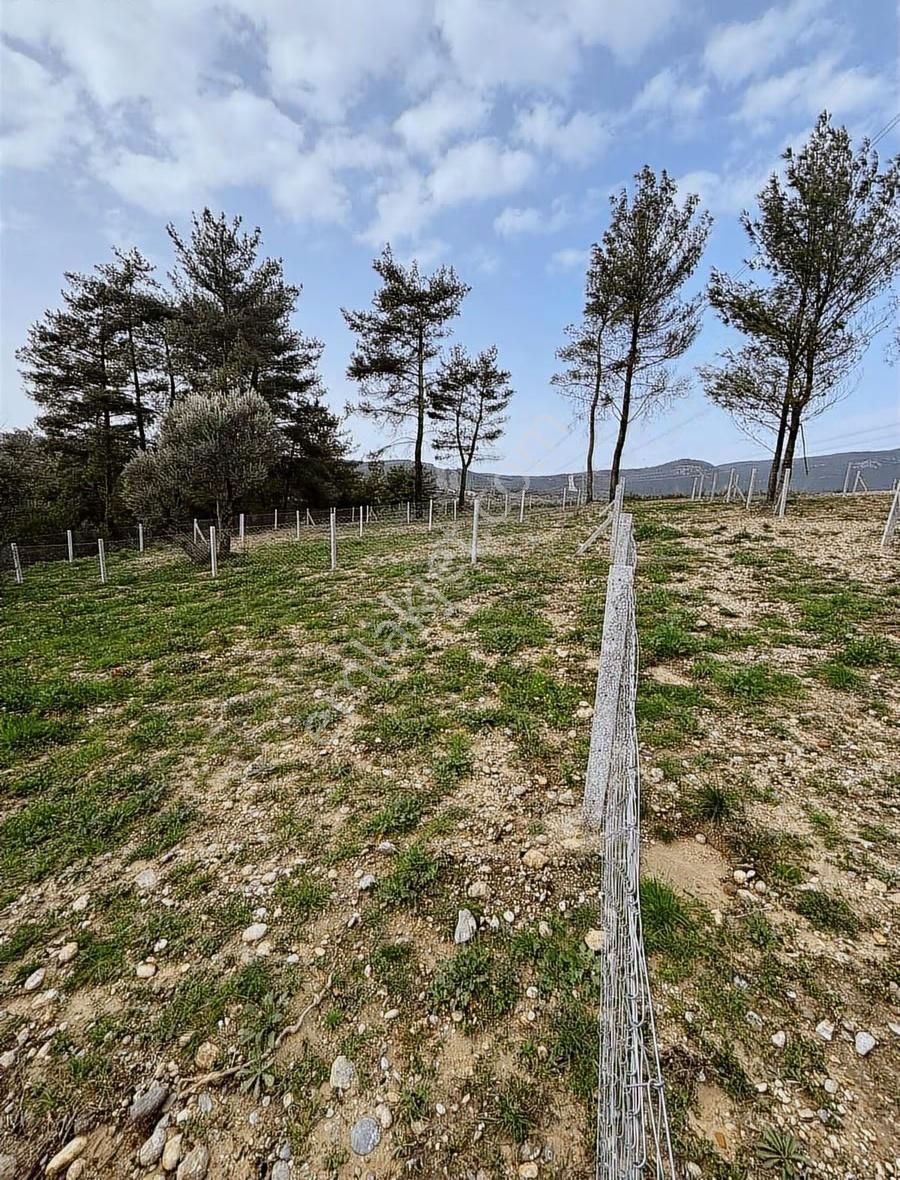 Buca Kırklar Köyünde Tapulu