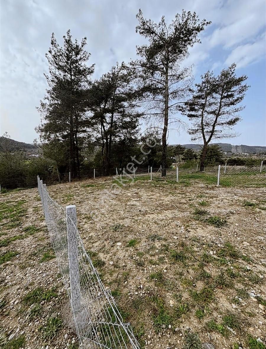 Buca Kırklar Köyünde Tapulu - Görsel 11