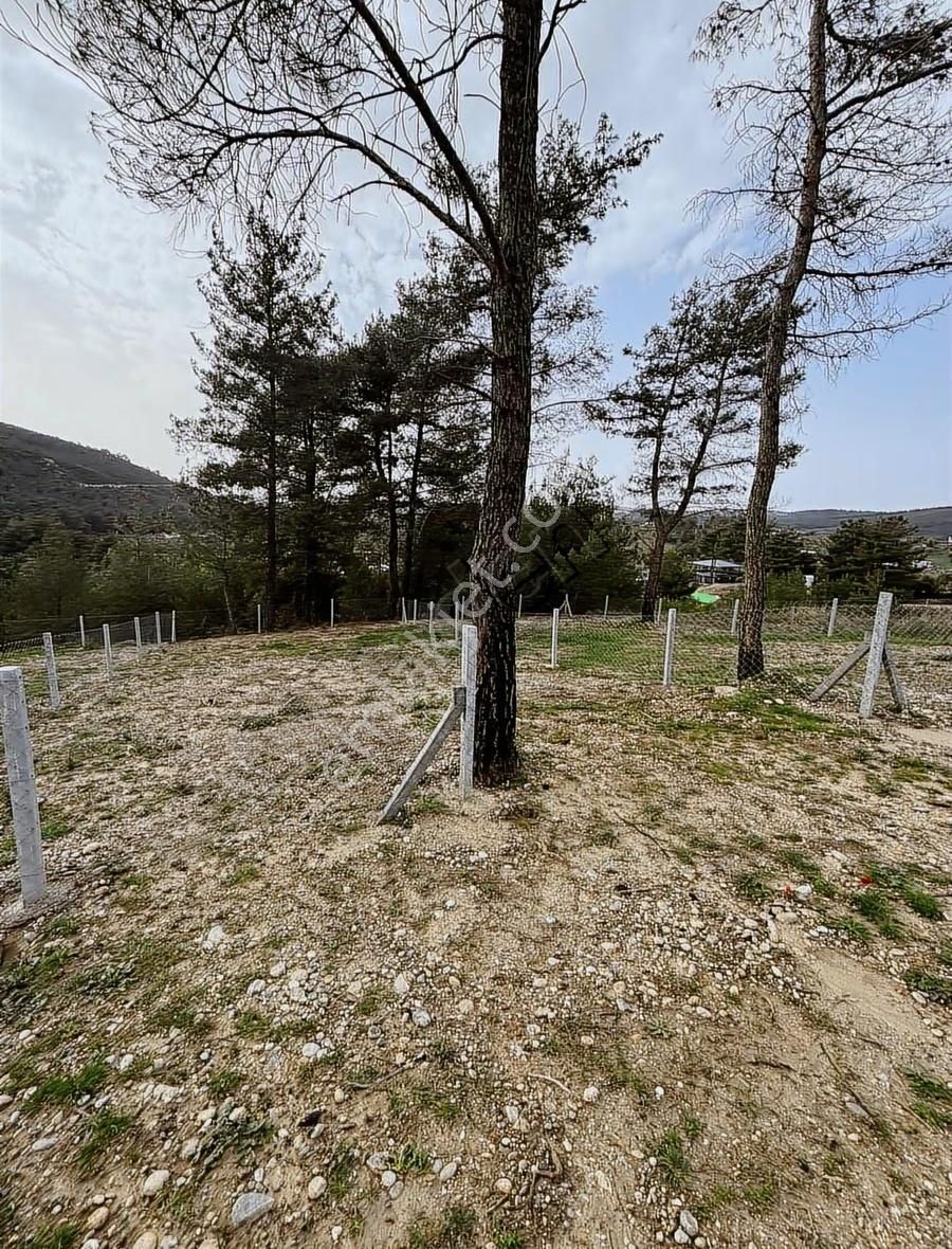 Buca Kırklar Köyünde Tapulu - Görsel 8