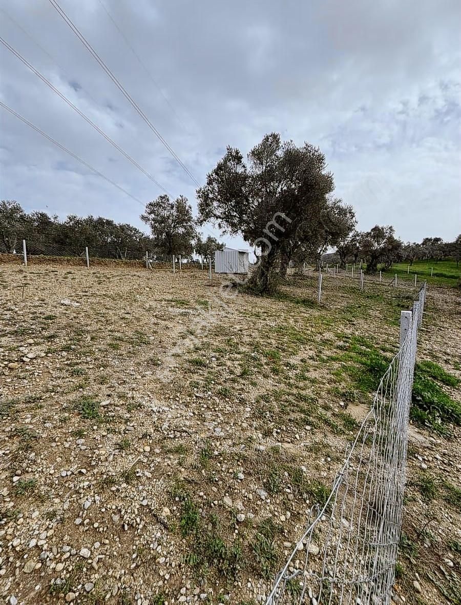 Buca Kırklar Köyünde Tapulu - Görsel 15