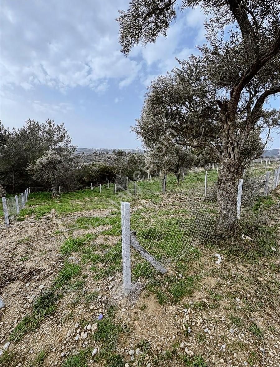 Buca Kırklar Köyünde Tapulu - Görsel 5