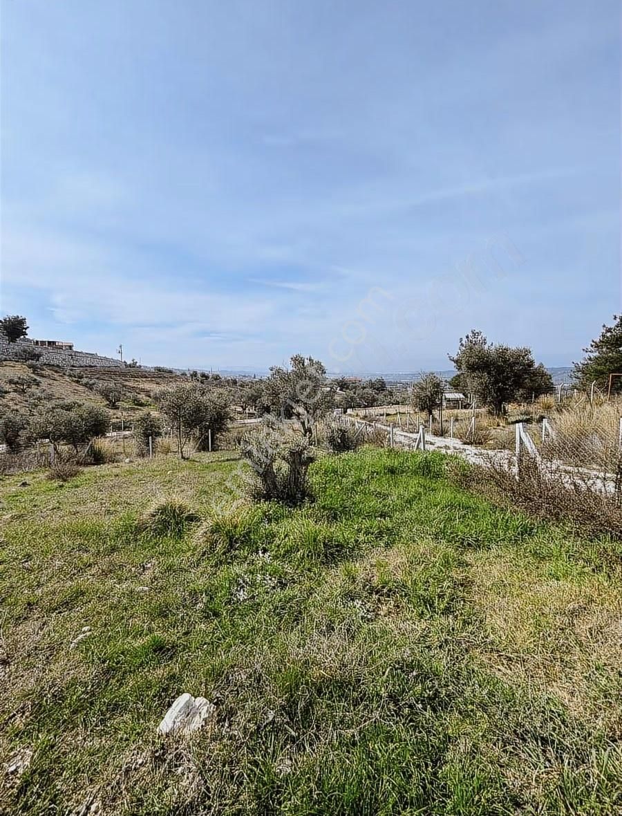 Torbalı Demirciköyde 400m2 Elektrik Su Mevut - Görsel 4