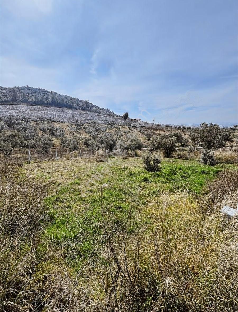 Torbalı Demirciköyde 400m2 Elektrik Su Mevut