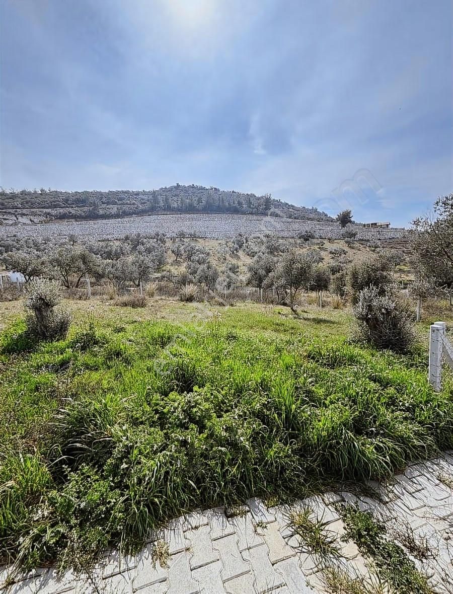 Torbalı Demirciköyde 400m2 Elektrik Su Mevut - Görsel 15