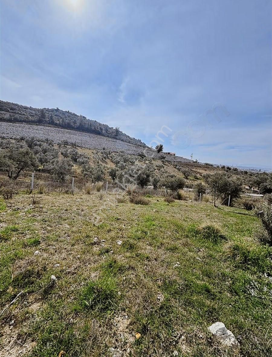 Torbalı Demirciköyde 400m2 Elektrik Su Mevut - Görsel 14