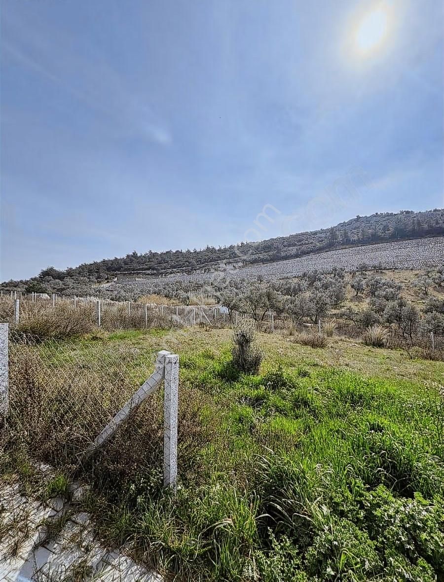 Torbalı Demirciköyde 400m2 Elektrik Su Mevut - Görsel 3