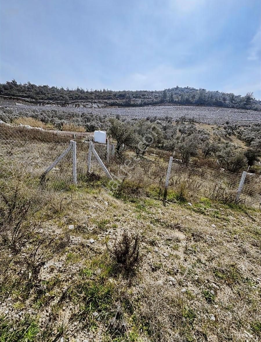 Torbalı Demirciköyde 400m2 Elektrik Su Mevut - Görsel 11