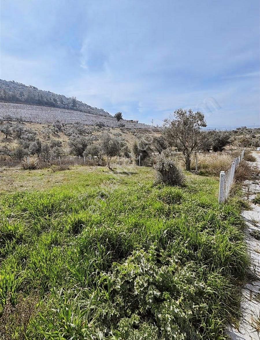 Torbalı Demirciköyde 400m2 Elektrik Su Mevut - Görsel 2