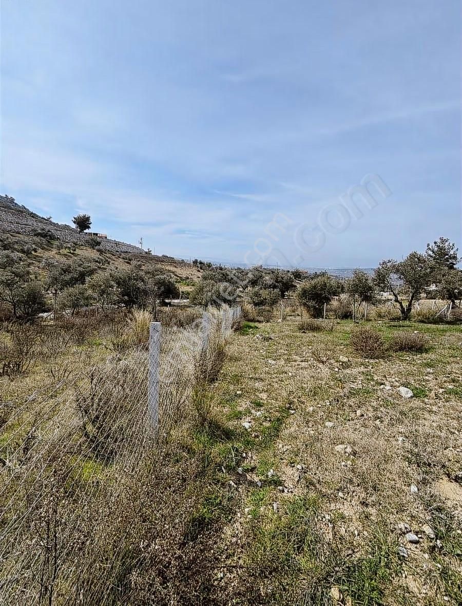 Torbalı Demirciköyde 400m2 Elektrik Su Mevut - Görsel 12