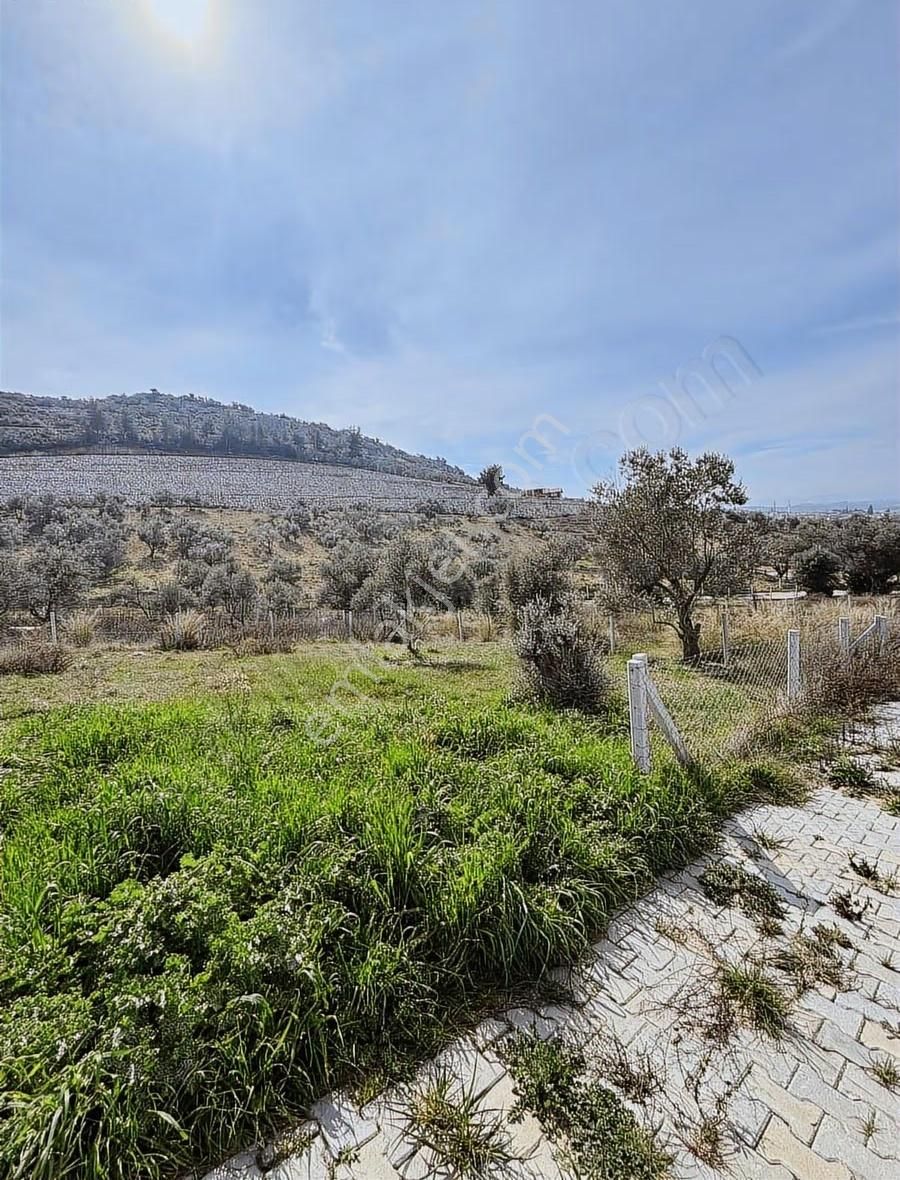 Torbalı Demirciköyde 400m2 Elektrik Su Mevut - Görsel 5