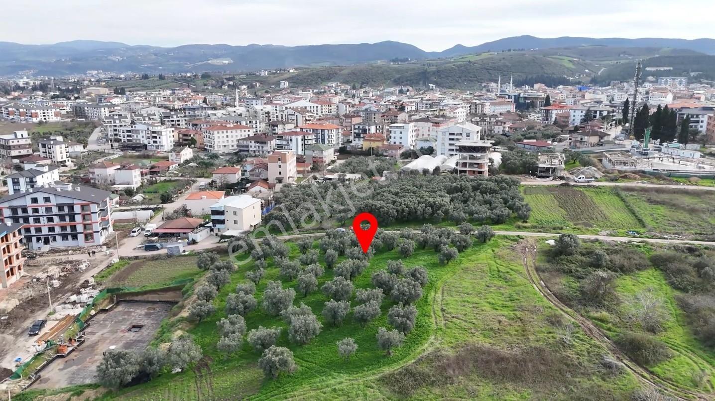 Deniz Ve Köprü Manzaralı 3 Kat İmarlı Altınova Yatırımlık Arsa - Görsel 4