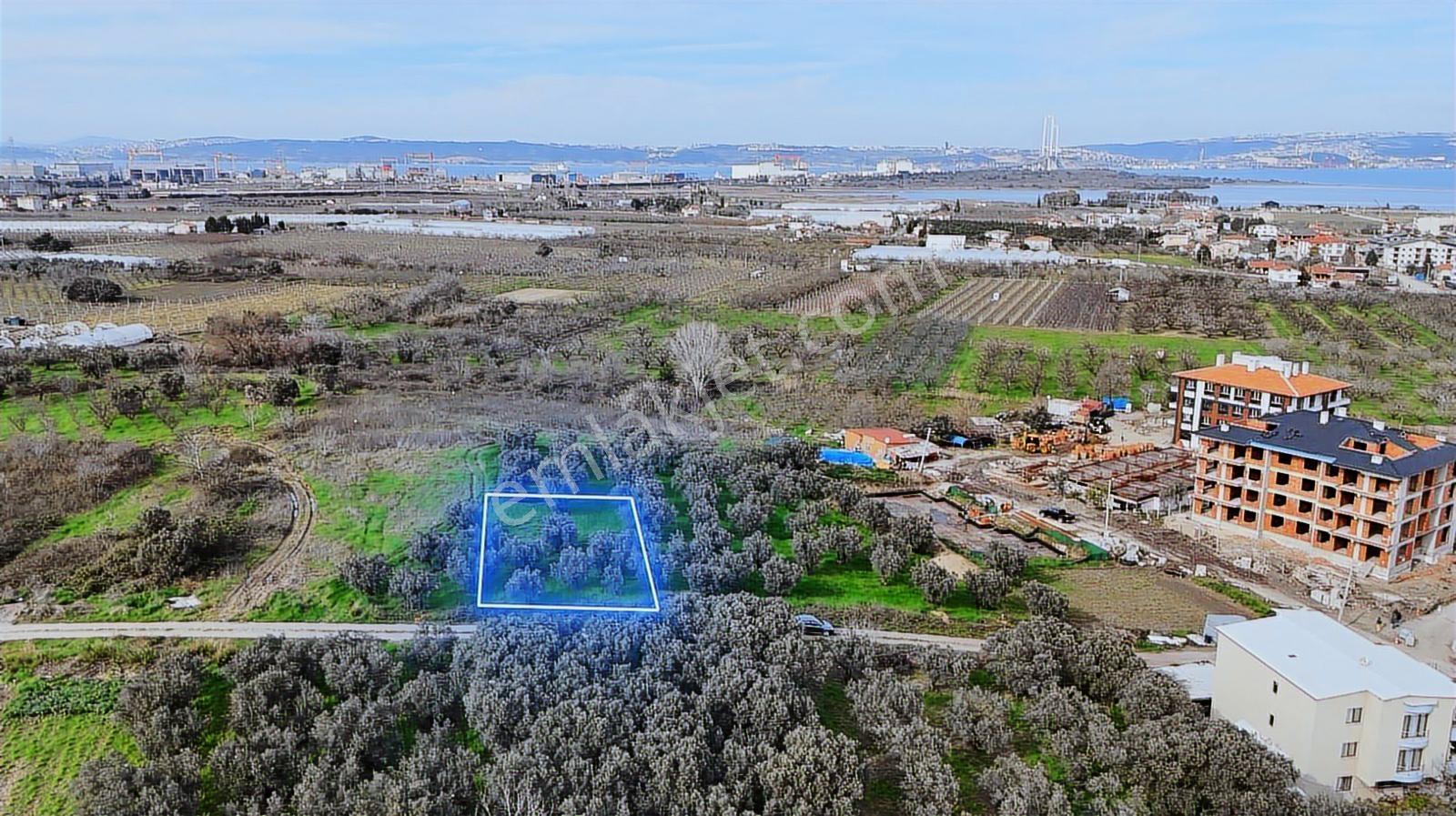 Deniz Ve Köprü Manzaralı 3 Kat İmarlı Altınova Yatırımlık Arsa