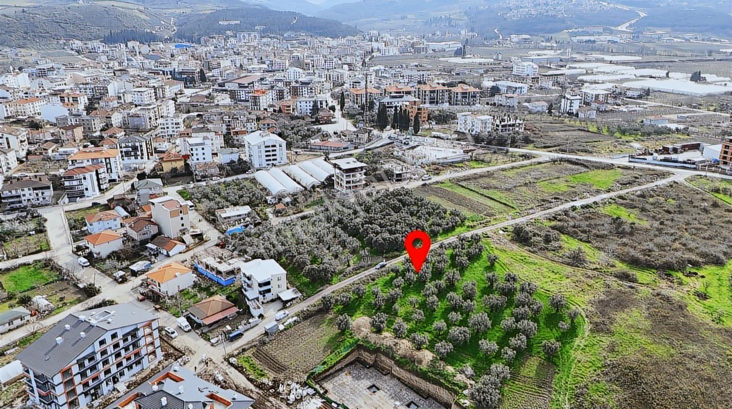 Deniz Ve Köprü Manzaralı 3 Kat İmarlı Altınova Yatırımlık Arsa - Görsel 5