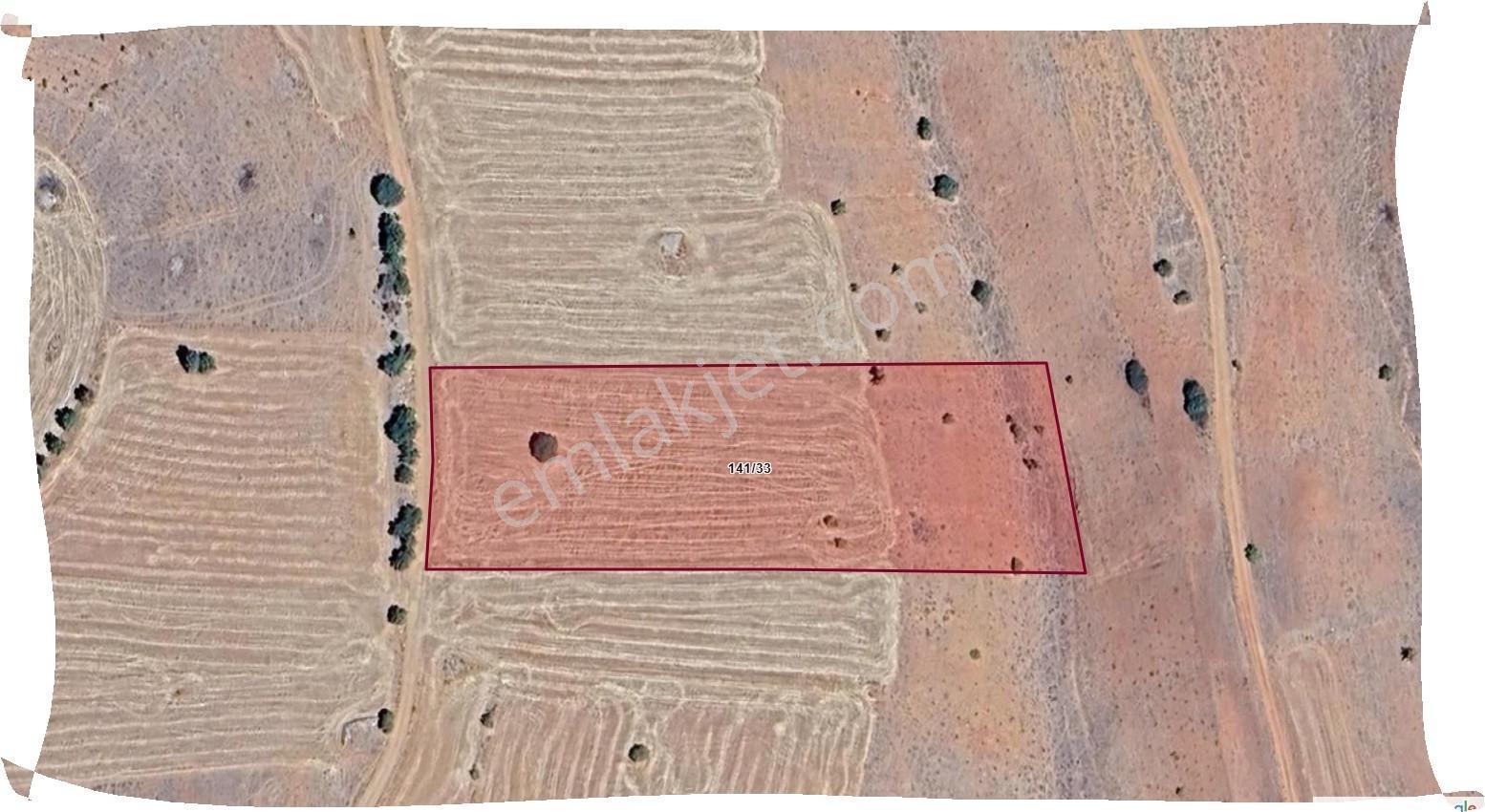 Özpınar,dan Karaman Bozkandak,ta Tarla Yolu Var 8047 M2