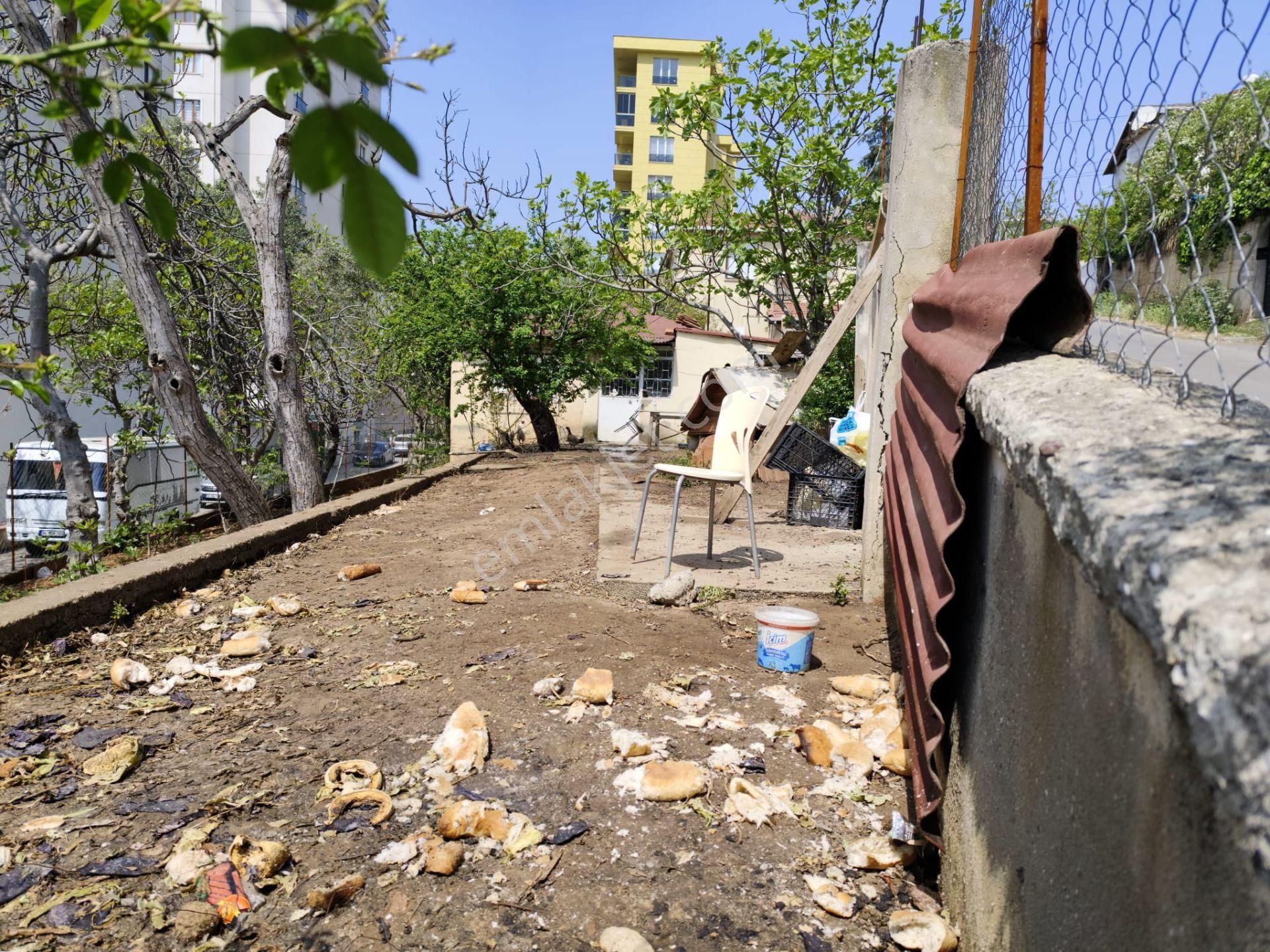 Mertcan Dan Çarşı Mah 392m2 Fırsat Satılık Arsa - Görsel 18