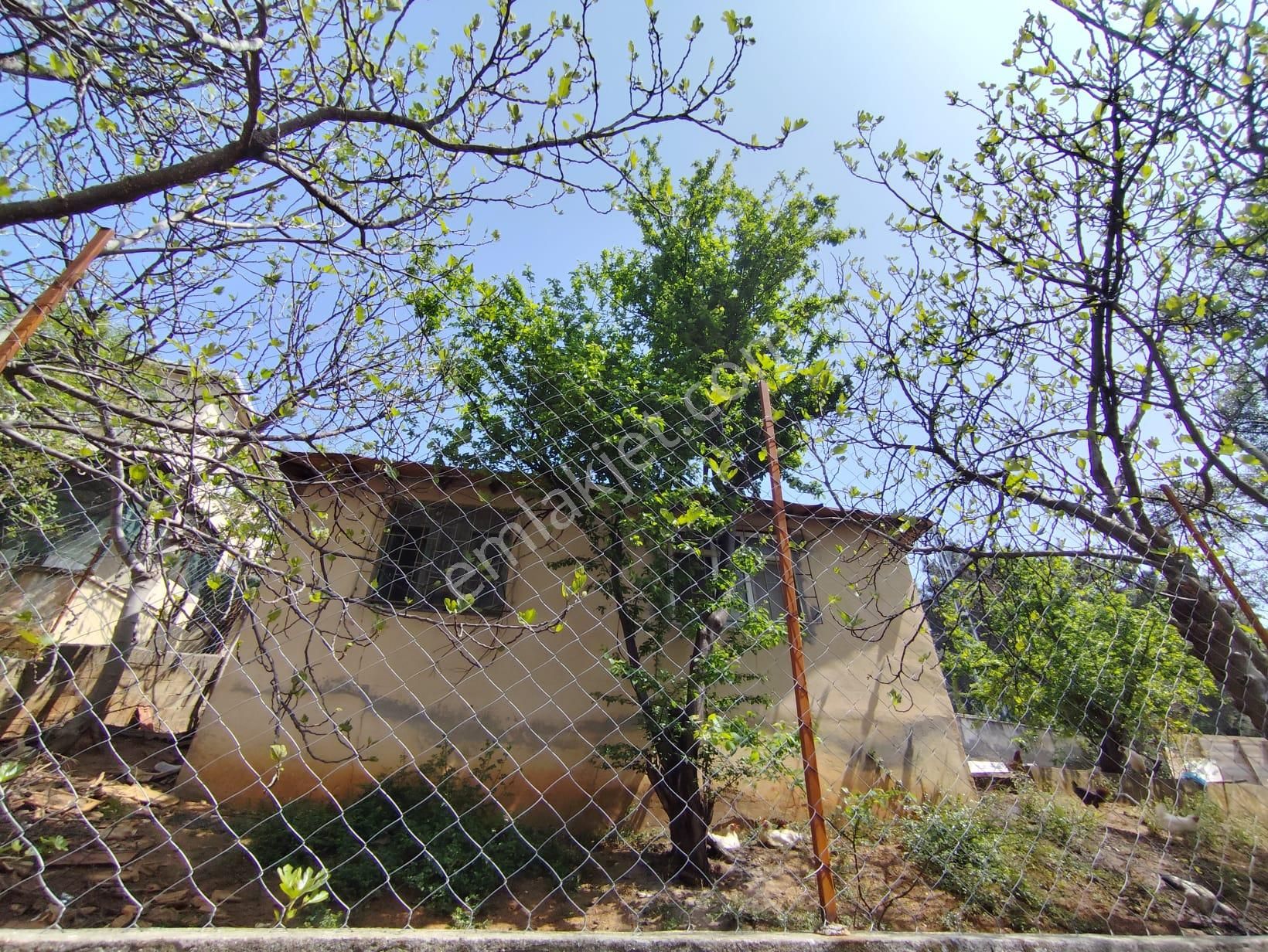 Mertcan Dan Çarşı Mah 392m2 Fırsat Satılık Arsa - Görsel 9