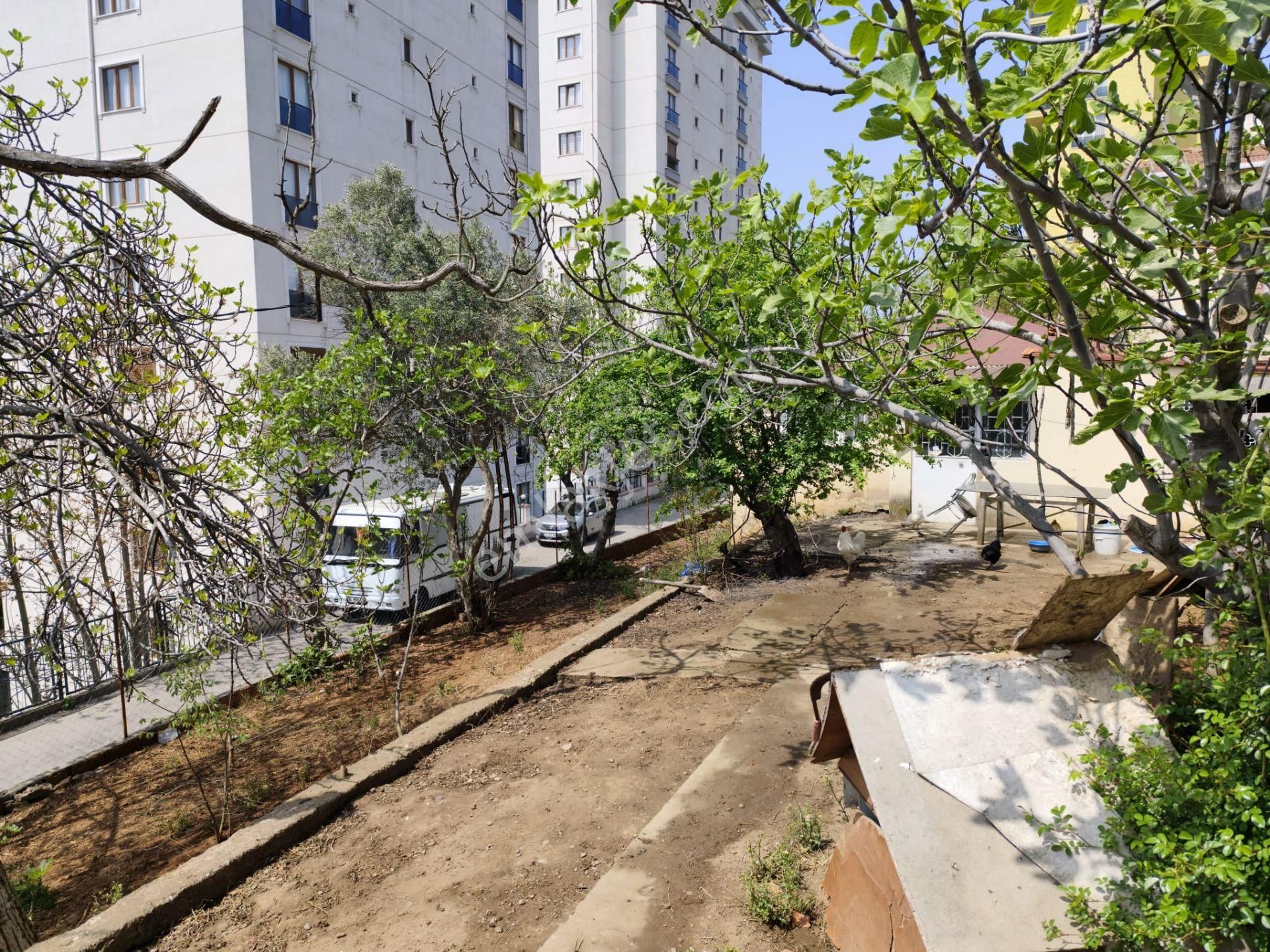 Mertcan Dan Çarşı Mah 392m2 Fırsat Satılık Arsa - Görsel 14