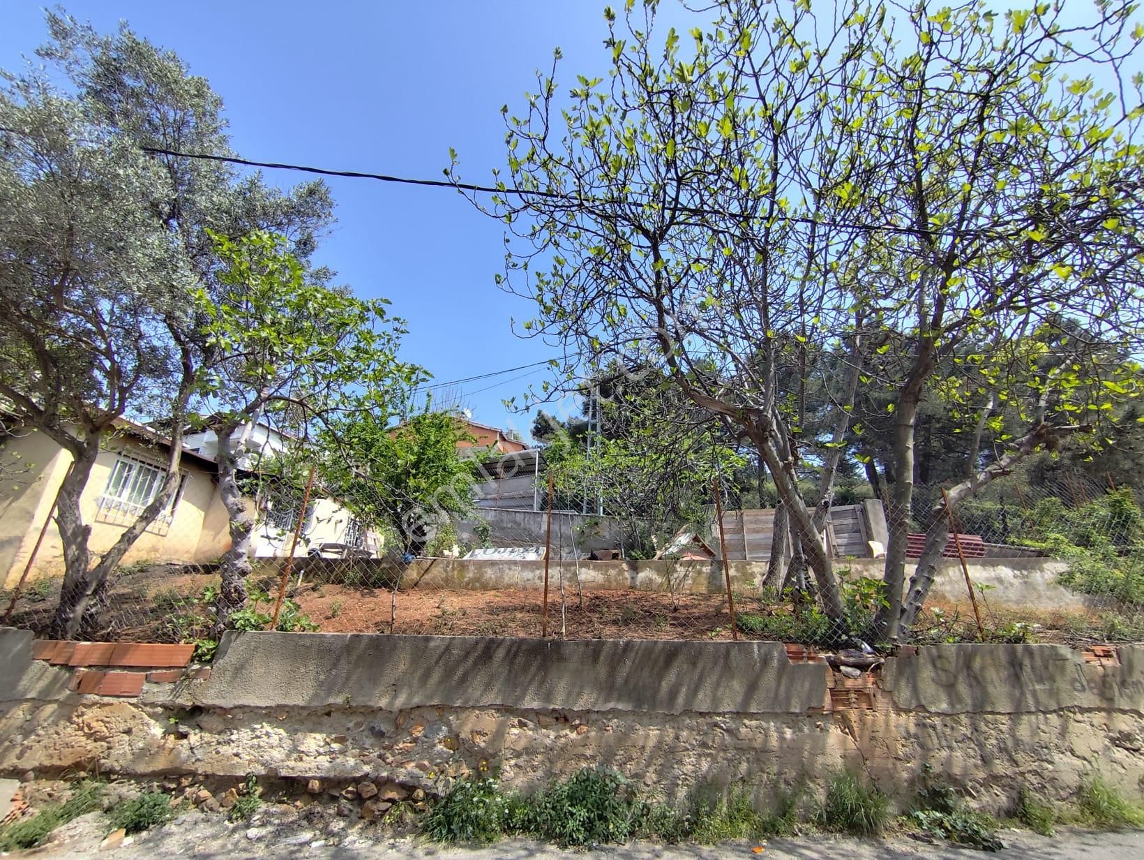 Mertcan Dan Çarşı Mah 392m2 Fırsat Satılık Arsa - Görsel 11