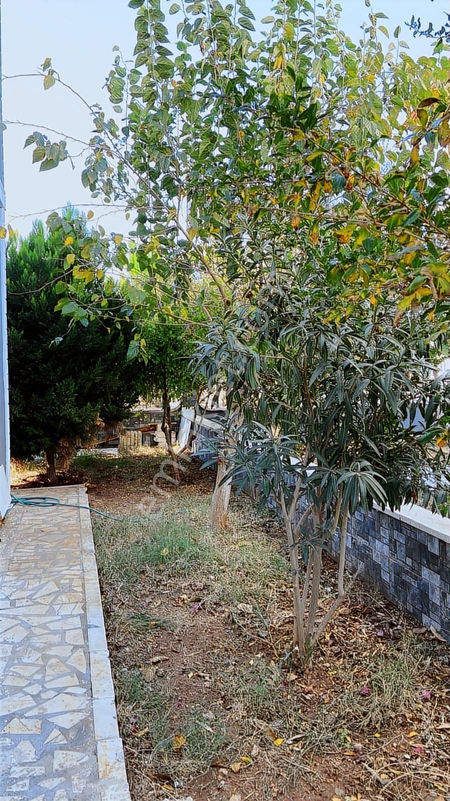 ▄evga▄didim Akbükte Satılık Villa - Görsel 9