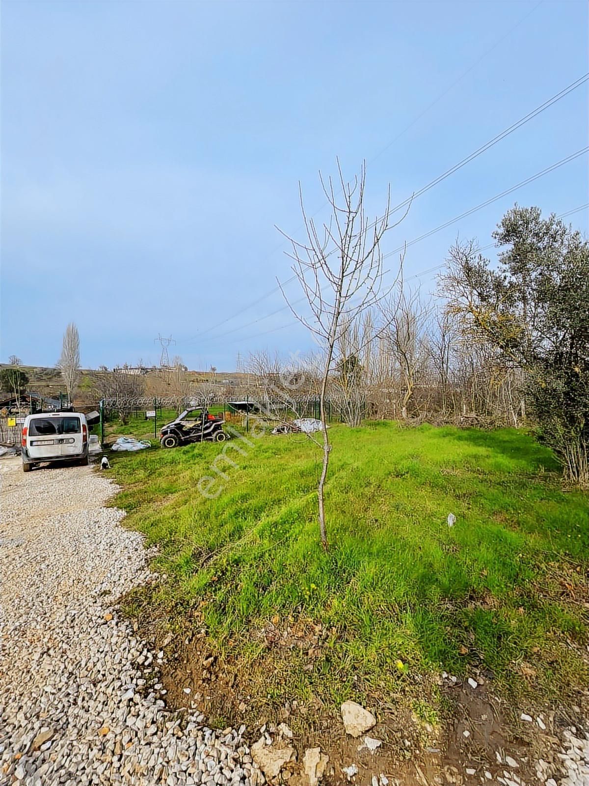 Dağyenice Yatırımlık Veya Hobi Bahçesine Uygun Satılık Tarla - Görsel 9