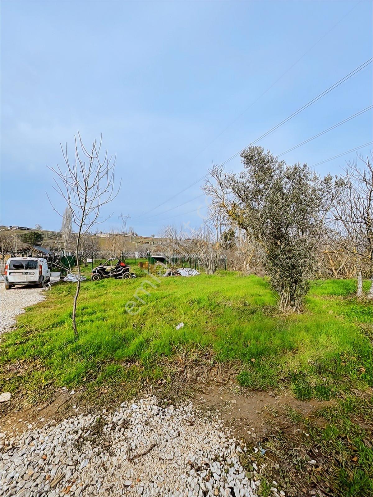 Dağyenice Yatırımlık Veya Hobi Bahçesine Uygun Satılık Tarla - Görsel 2