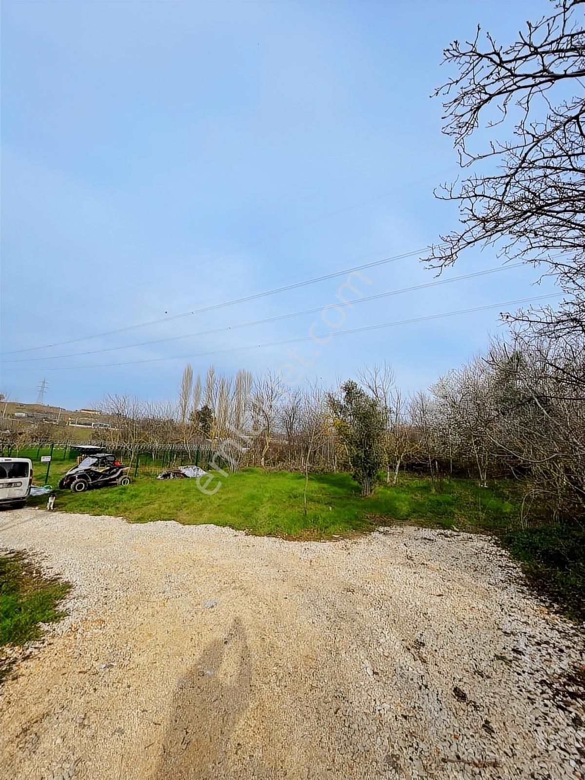 Dağyenice Yatırımlık Veya Hobi Bahçesine Uygun Satılık Tarla - Görsel 6
